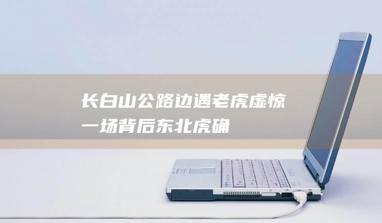 长白山公路边遇“老虎”虚惊一场背后：东北虎确在近期重现，真假虎相距不到100公里|杨毅|野猪|野生动物