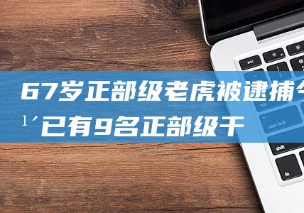 67岁正部级老虎被逮捕！今年已有9名正部级干部落马|常委|李微微|北京市委