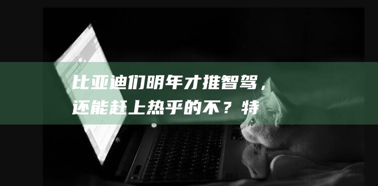 比亚迪们明年才推智驾，还能赶上热乎的不？|特斯拉|王传福|奇瑞汽车|埃隆_马斯克