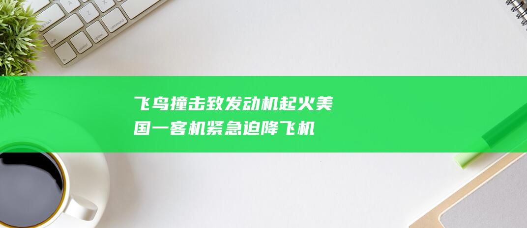 飞鸟撞击致发动机起火美国一客机紧急迫降|飞机|紧急情况|美国航空公司|拉瓜迪亚机场