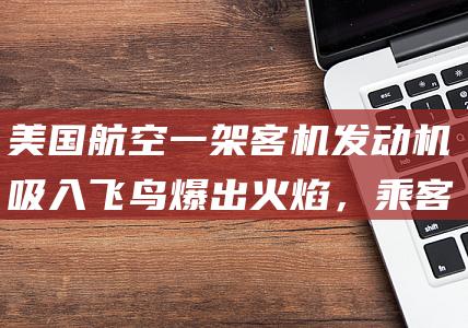 美国航空一架客机发动机吸入飞鸟爆出火焰，乘客称“以为会死”|飞机|中国籍乘客