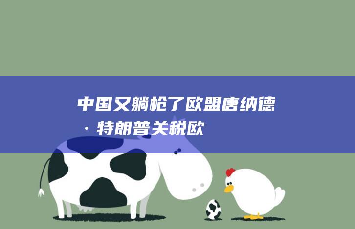 中国又躺枪了|欧盟|唐纳德·特朗普|关税|欧盟委员会|美国|美欧